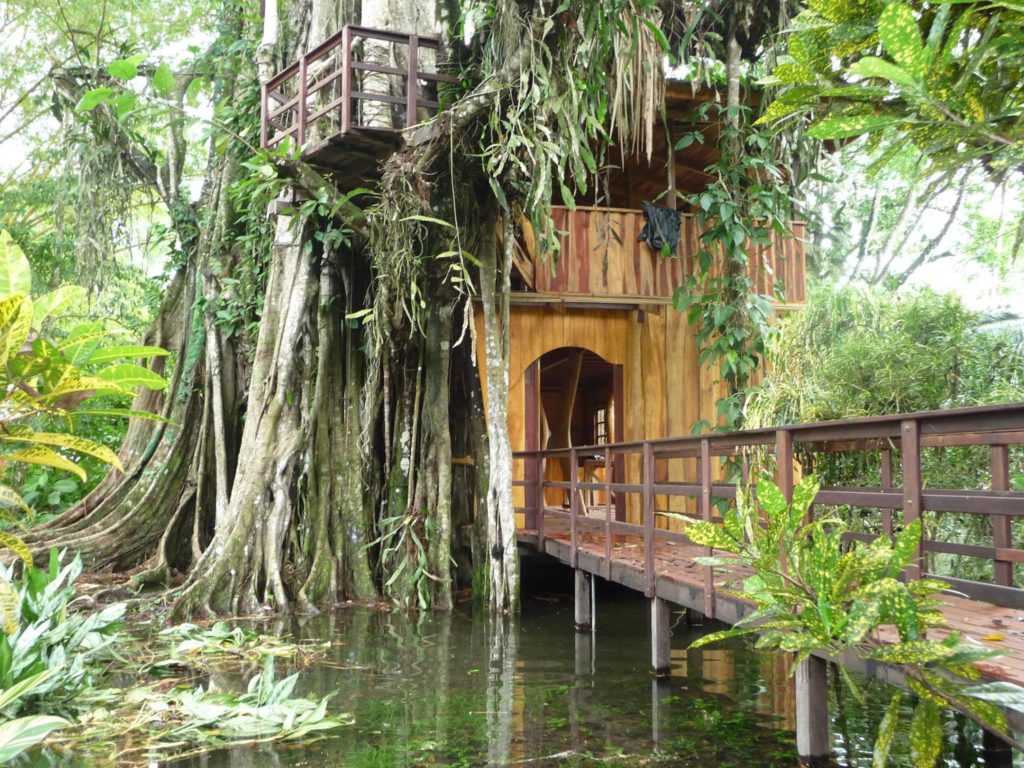 Top Costa Rica Tree House Cool tree houses to stay and eat at in Costa Rica Tiny 