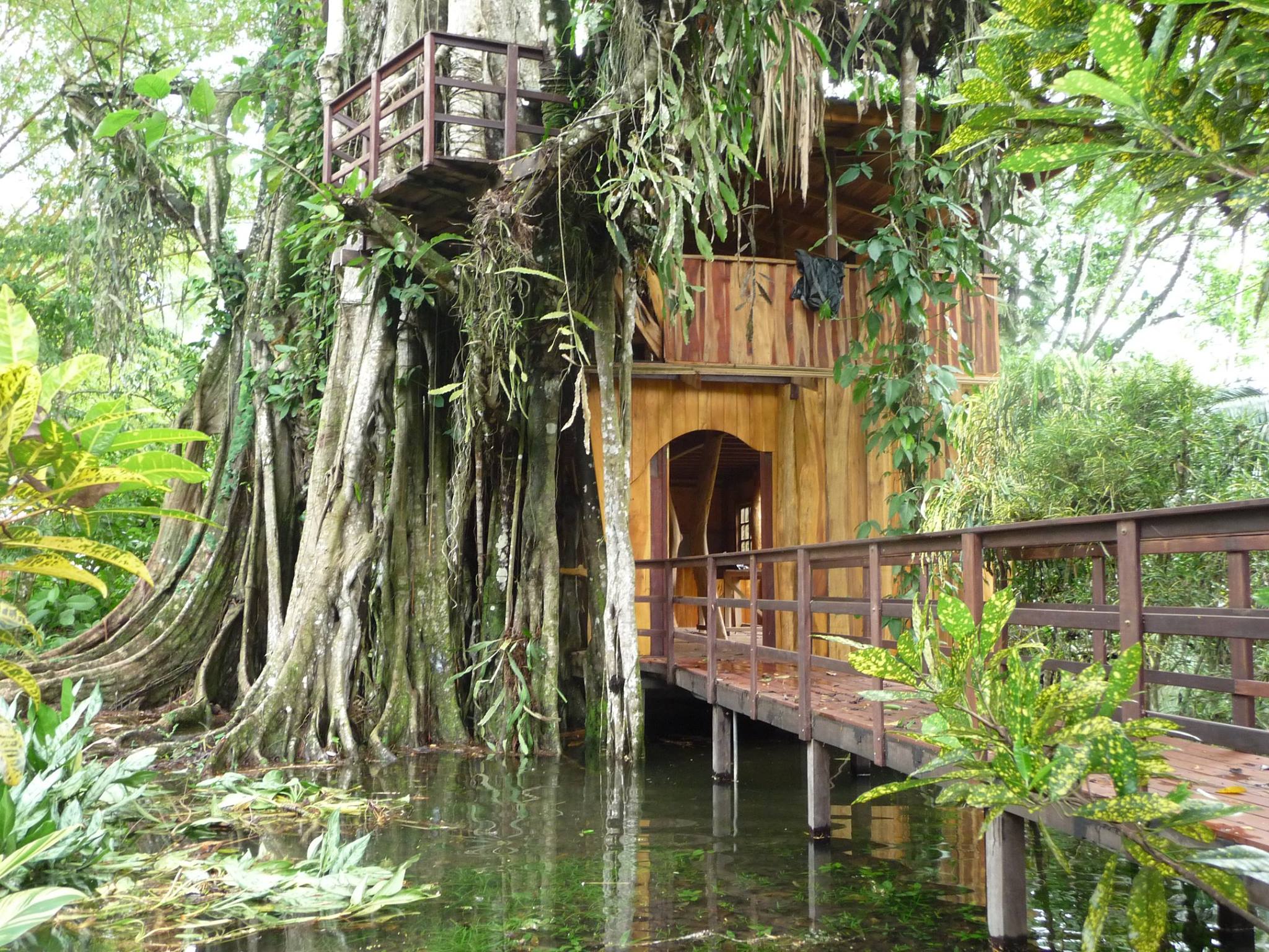 Eco House Costa Rica