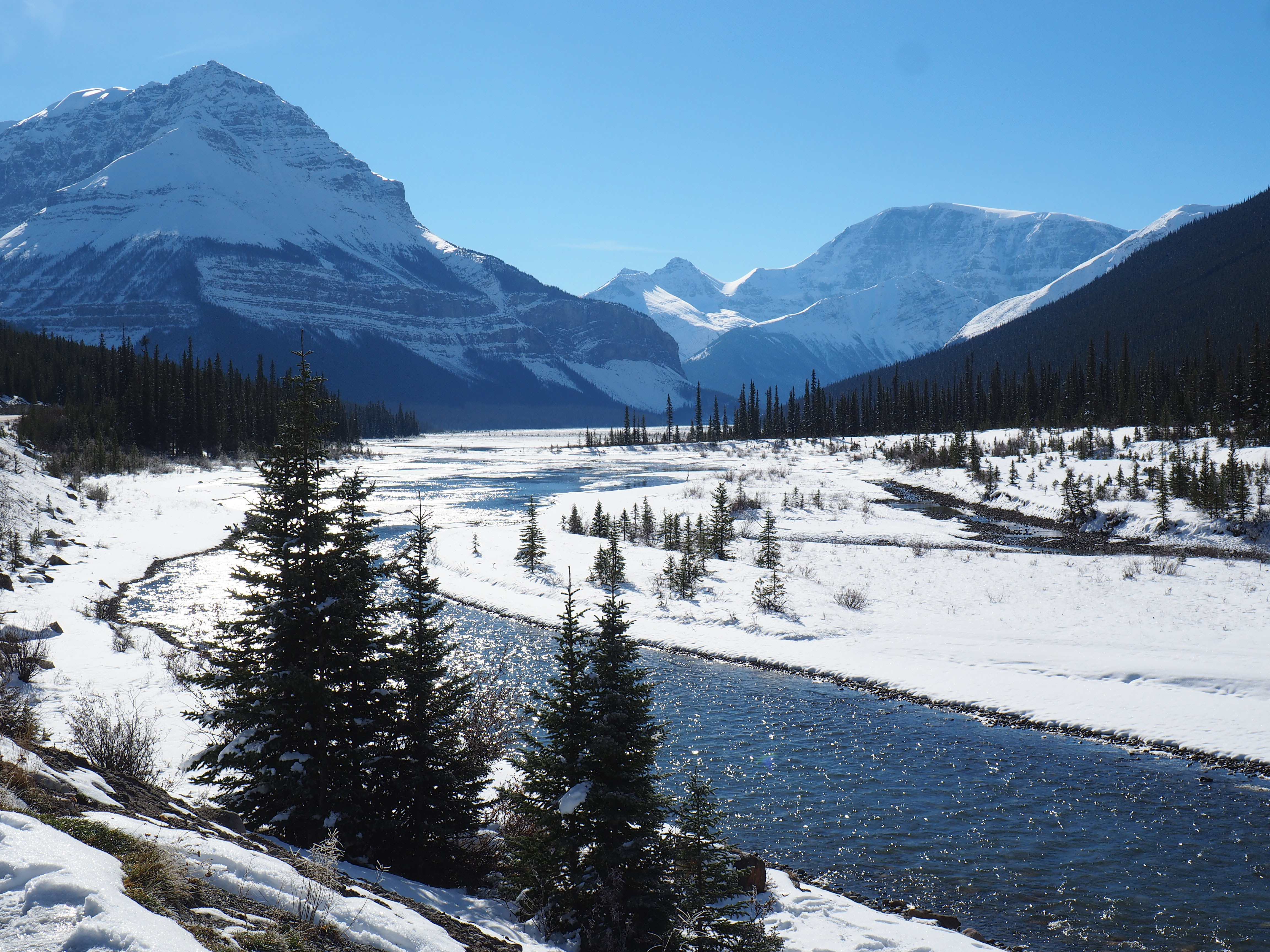 Awesome Stops Along The Icefields Parkway In Canada - Tiny Travelogue